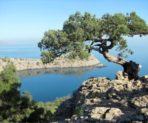 ���� ������ ������������� � ��������� ̸������ ����