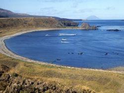 ���������� ��������� ����������: �� ������� �������� ����� ���������� ��������