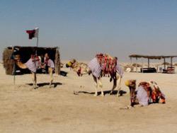 �� ��� �������������� �����?