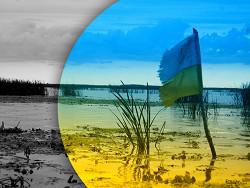 ������ ����� ���������: ������� ��� ������� ������� ������ ��� ����������� �����