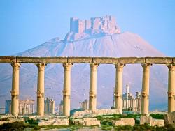 ���� ��������: ������� �������� ���� ������ ����������� �� ������� �����