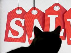 ������ �� ��������� �������� ������-�������� ����������