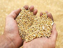 ������ ������������ �� �������� �����