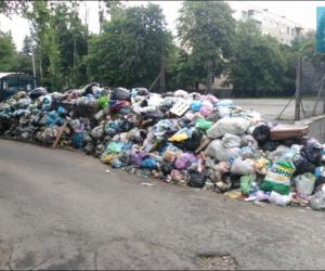 ������, ������� �������.