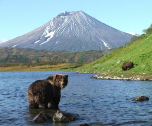 ������������� ������: ������� �� ��������� ����� ���� ��������?