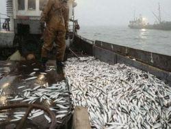 ���� ����������� ������� ��������: �� ���� �������� ���� � ���������