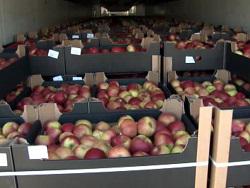 �������� ��� �������: ����������� ������ ��� ����� ��������