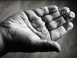 ���� ������� � ������� ���� ��������� ������ ������ �� �����������