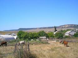 ���� ������ ����: ������� ��� �� ������� ����� �� ������