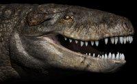 Палеонтологи описали гигантскую рептилию, которая питалась динозаврами
