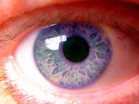 Ученые выявили удивительный механизм защиты глаз от атак бактерий