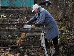 ��������� �������� � ������. ������������ ������ ������� ������� �� �����