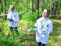 ������������ ������� �� ������ � ������