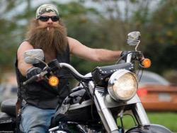 ������� �������� ���������� ���� �����-2017 �� ��������� ������ �� ����������