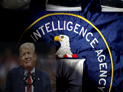 ���� ������ � �����: ��� � ��-6 ��������� ���� ������������ ��������