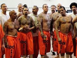 ������������������ ��������� ���: ������ ������ �������� � ���� �������� - ���������