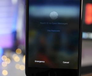    iPhone 8 , - iOS 11 beta 4