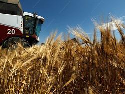 �������������� ��������� �������� ���������� �������