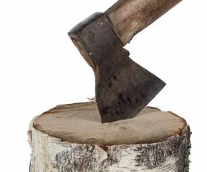 ������ �� ��: �� ���� ���������� ���-�������