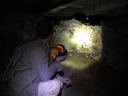 ��������� ����� ����������� ������ ��� ������