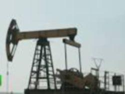 ������ ��������� ������ �� �������� ����� � ���� � I ���������.