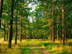 ��� ��������� �� 30%: ������� ��������� �� ��������� ����� � ������ �� ���������������