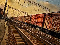 �������� ����: ����� ������� ������ �� ������