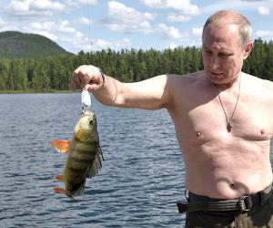 ������� ���������, ��������� � ���