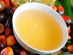 ������ �������� ���������� ����� ������, ��� ������