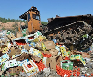 ���������� ���������� ��������� �������� ����������� ���