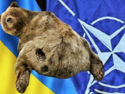 ���� ��� �����. ����� ����������.