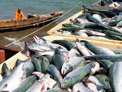 �������� ������� �� ��������� ������ ������� ��� �� ���� � ��