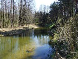 ��������� �������� ������� ���� �� ������� � ����������� ������� ���������������