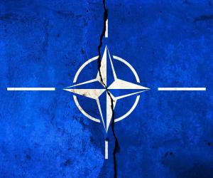 CounterPunch: ������������������� ������ ������ ���� ��������