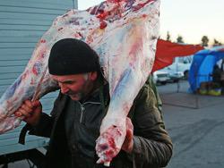 ������ �������: �������� �������� �� ���