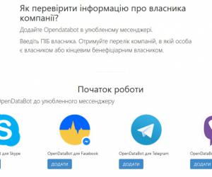  Opendatabot     