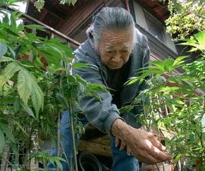 ������ �����.����� ����������� � ������������ ������������