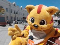 ��� ������������ ������ �� �������� ��������� ������