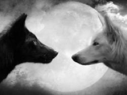 ������ � ������ � ���?