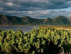 ���� ������. ������ �� ���������� ������� ������� ������?