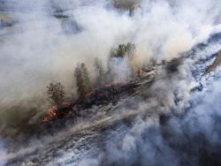 ������ ������-2017. ��� � ������ �������� ������ � ��������� ��������