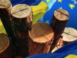 �������� �������� ���� �� �������