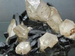 ������������ ����� �����