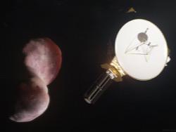 NASA      New Horizons