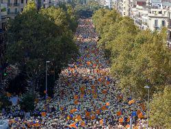 ������ ������� ������: ������ �� �����. �������� �� ��� � ���������