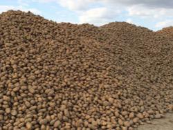 ������� � ���� �������� ������� 300 ���� �������� � ������� �����������, ��-1 � �����