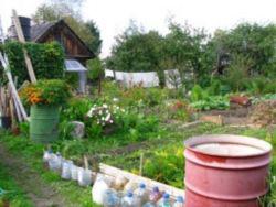 ������ ������ ����� ������ �� � ����?