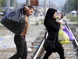 ������ �� ����� ���� ���������