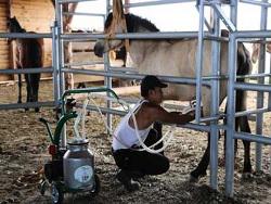 ��������� ������� ���������� ������� ���������� ������