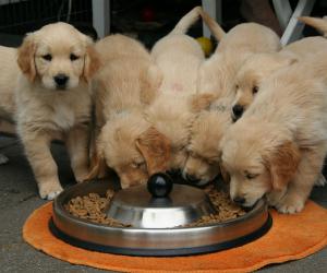 �������� � ������ �������� ���� ���������